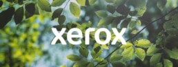 xerox green